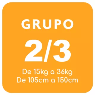 Silla de Coche Grupo 2 3